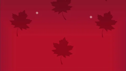 Canadian maple leafs pattern animation Stock Footage 194739722