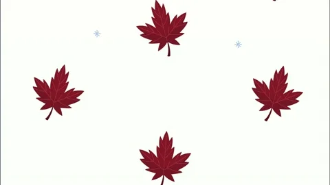 Canadian maple leafs pattern animation Stock Footage 194740027