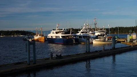 Canadian Ocean Harbour Stock Footage