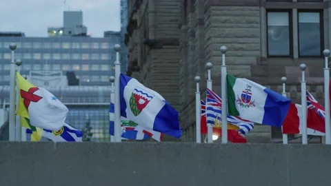 Canadian Provincial flags Stock Footage 217691438