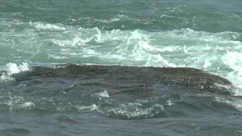 Canadian Rapids Stock Footage 121641066