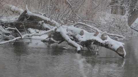 Canadian River Currents Stock Footage 33402925