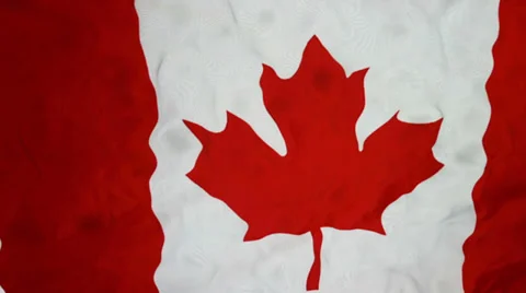 Canadian waving flag Stock Footage 33706745