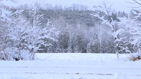 Canadian Winter Stock Footage 60967637