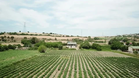 Çanakkale9 Video stock 154898971