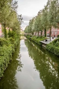 The canal in Aarhus flows gently through the city and the trees reflecting in Stock Photos