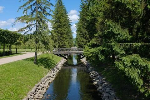 Canal bridge park pine tree water landscape sunlight along calm canal with .. Stock Photos