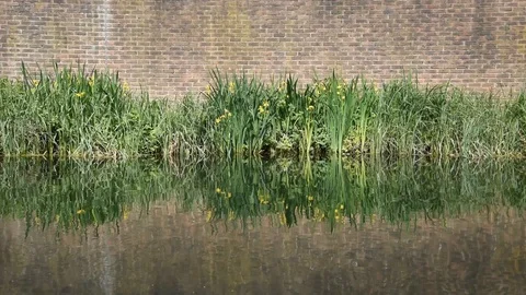 Canal in the city Stock Footage 90083496