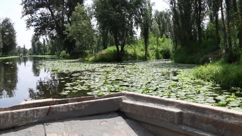 Canal de Cuemanco 11 Stock Footage 137004094