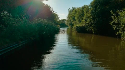 Canal flowing between dense trees from boat POV. Water reflecting soft light Stock Footage 314106111