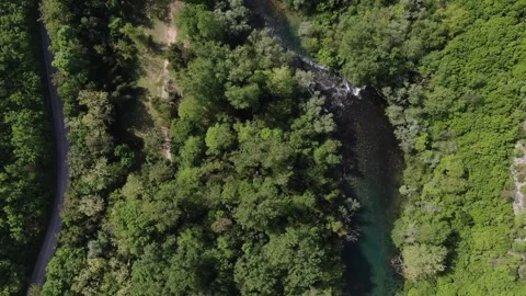 Canal Flowing Through Green Forest | Peaceful Nature Landscape Vídeos de archivo 337703121