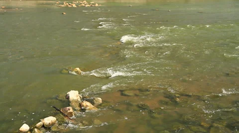 Canal Stock Footage 32240717