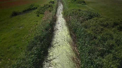 Canal with green algae Stock Footage 155092104