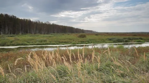 Canal irrigation Video stock 48908955