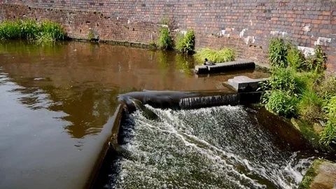 Canal lock feeder pool overflow and sleepy duck Stock Footage 92057889