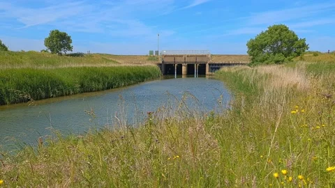 Canal lock gates along the bend of a canal with reeds and wild grasses Stock-Footage 201527006