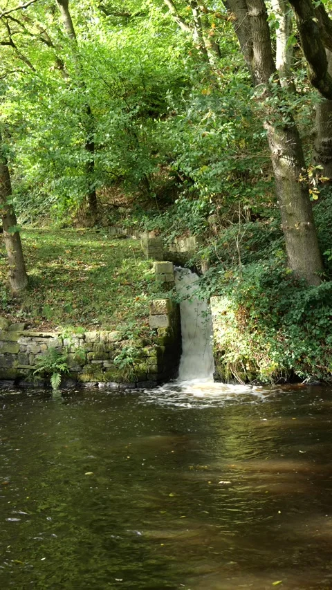 Canal overflow Stock Footage 163827589