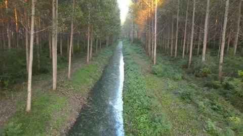 Canal in park Stock Footage 141681802