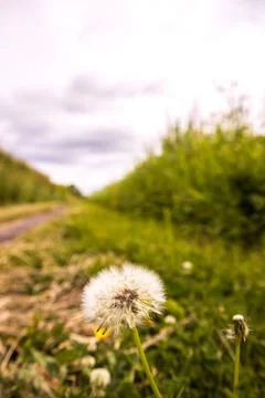 Canal Path Route Stock Photos