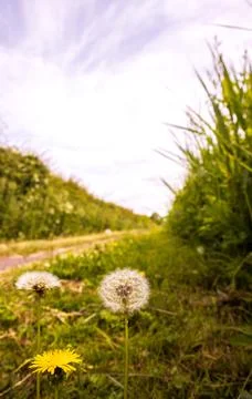 Canal Path Route Stock Photos