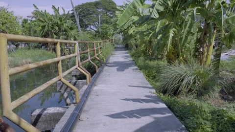 Canal Path With Vegetatio Stock Footage 338343177