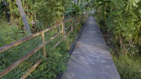 Canal Path View Video stock 338342596