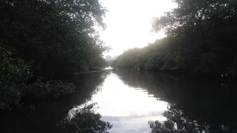 Canal in Rio de Janeiro Video stock 259912465
