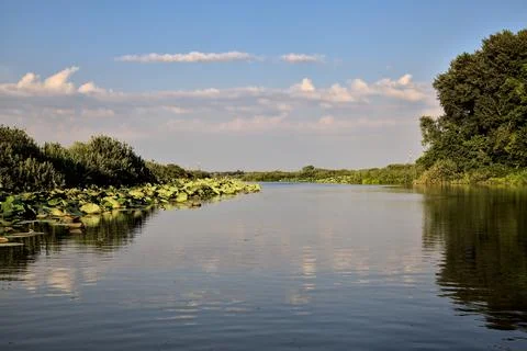 Canal in a river bordered by a forest that casts its reflection in the water  Stock Photos