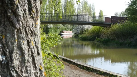 Canal side in the UK Stock Footage 106989651