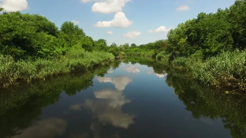 Canal surrounded by forest and the reflection of clouds in it Stock Footage 169793158