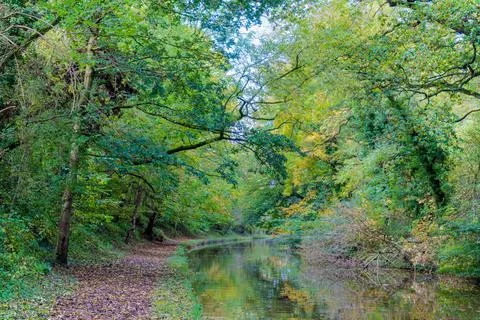 Canal towpath with perfect reflections Stock Photos