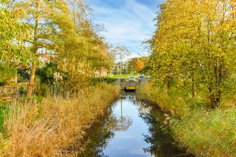 A canal with trees on either side and a bridge Stock Photos
