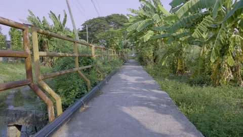 Canal Walkway Path Video stock 338342477