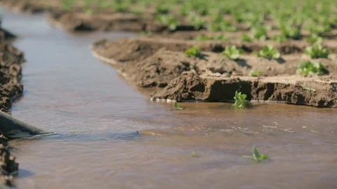 Canal Water Farm Stock Footage 94643353