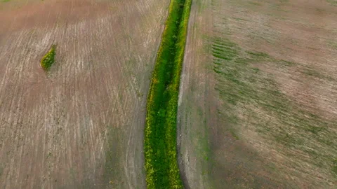 Canal with water in the field. Small river or stream through farmland. Video stock 201341198