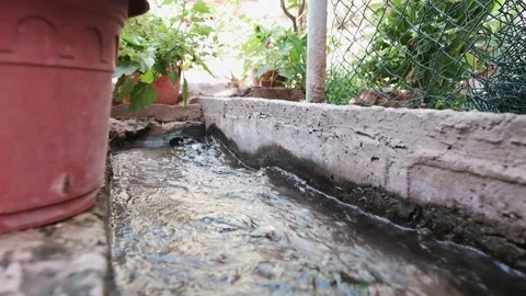 Canal water Stock Footage 162575225