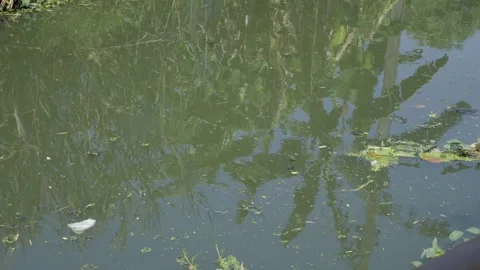 Canal Water Reflection Video stock 338343105