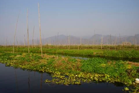 Canals intersect the floating vegetable gardens Stock Photos