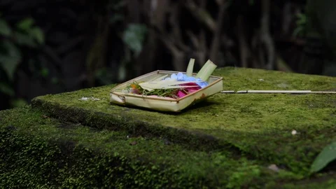 Canang  Sari Offering at Monkey Forrest Stock Footage 96187544