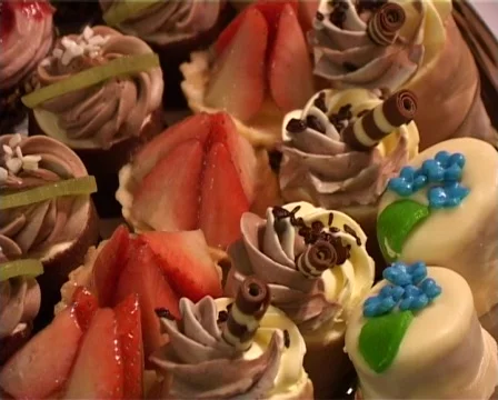 Canape Stock Footage 312688