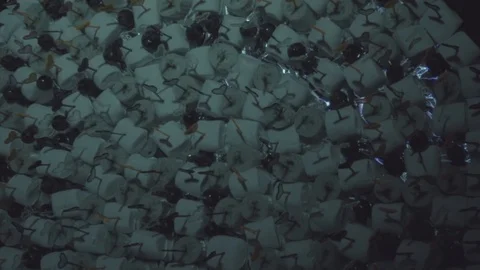 Canapes from Zephyr Stock Footage 96000190