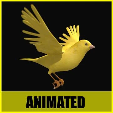 Canary - Animated 3D Model
