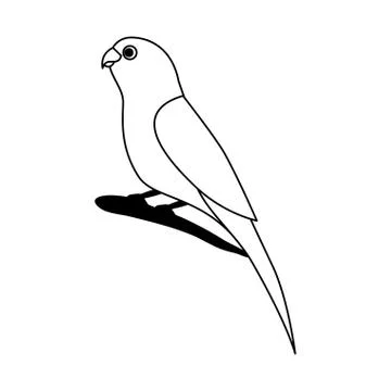 Canary bird on branch Stock Illustration