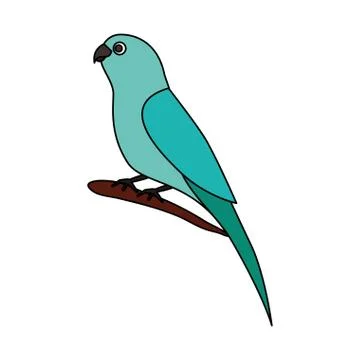Canary bird on branch Stock Illustration