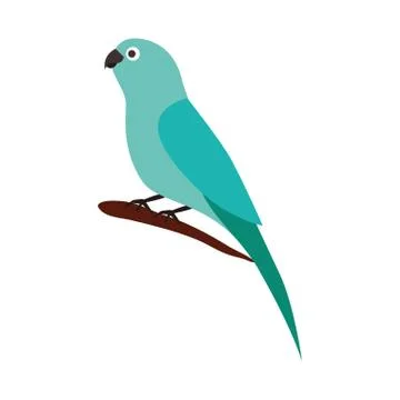 Canary bird on branch Stock Illustration