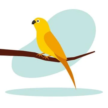 Canary bird on branch Stock Illustration