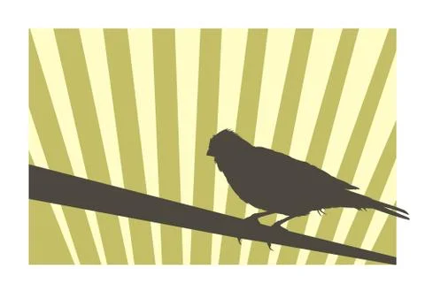 Canary bird Stock Illustration