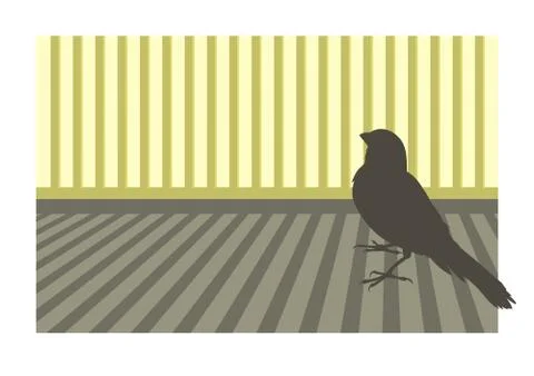Canary bird Stock Illustration
