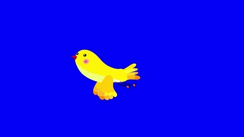 Canary bird yellow flight stop bluebox Stock Footage 252183951