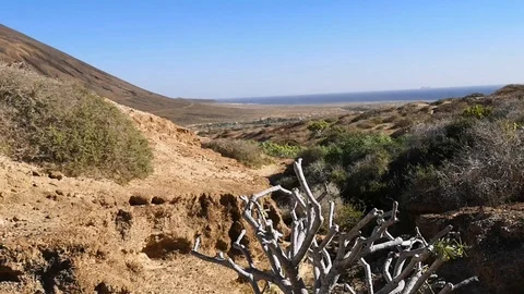 Canary Islands desert 스톡 동영상 101392889